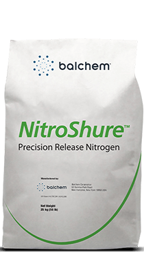 Blachem Nitroshure