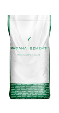 Cereali Paglia