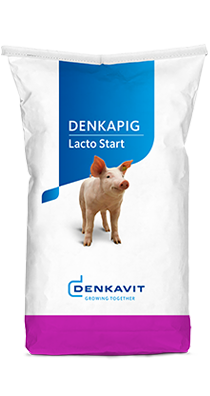 Denkapig