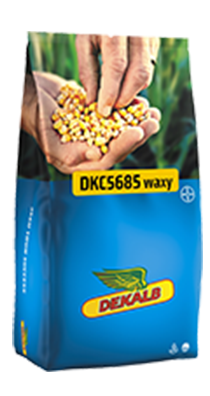 Mais di qualità per aziende agricole