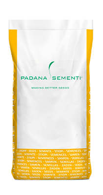 Padana sementi